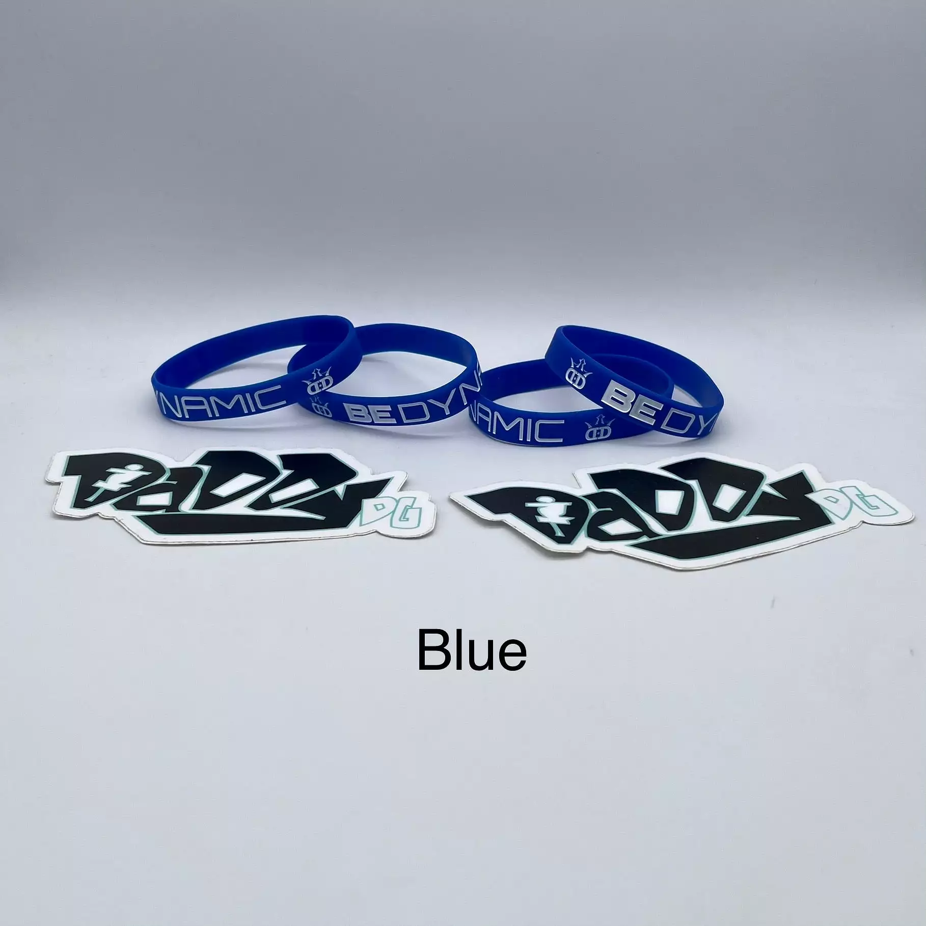 Be Dynamic - Dynamic Discs Wristband