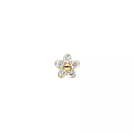 MBF Daisy 5 Stud, 14k Yellow Gold