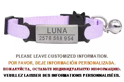 Personalized ID Free Engraving Cat Collar Safety Breakaway Small Dog Cute Nylon Adjustable for Puppy Kittens Necklace