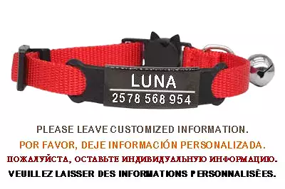 Personalized ID Free Engraving Cat Collar Safety Breakaway Small Dog Cute Nylon Adjustable for Puppy Kittens Necklace