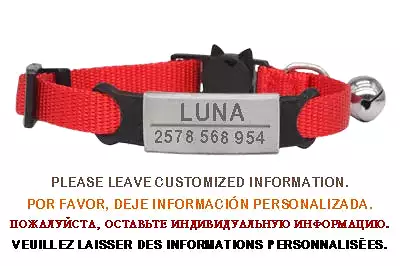 Personalized ID Free Engraving Cat Collar Safety Breakaway Small Dog Cute Nylon Adjustable for Puppy Kittens Necklace