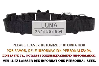 Personalized ID Free Engraving Cat Collar Safety Breakaway Small Dog Cute Nylon Adjustable for Puppy Kittens Necklace