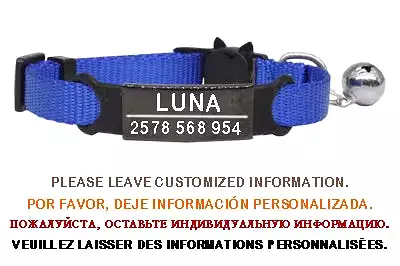 Personalized ID Free Engraving Cat Collar Safety Breakaway Small Dog Cute Nylon Adjustable for Puppy Kittens Necklace