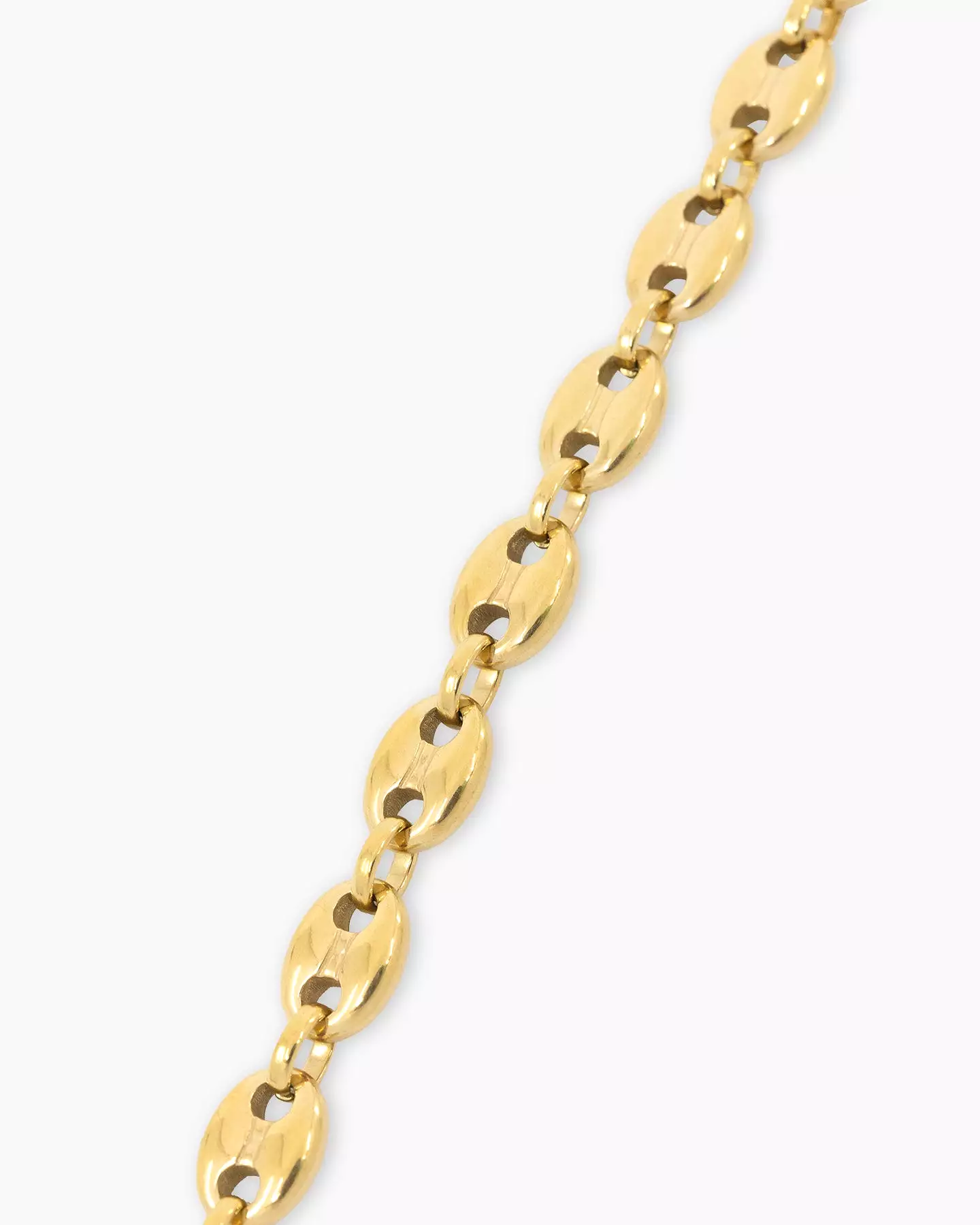 Saint Morta Pig Nose Chain Gold